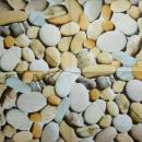 076 Muscheln - 3-lagig - Paw