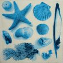 094 Shellfish - 3-ply (blue) - Home Fashion