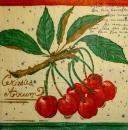 025 Cherries,  Plums - 3-ply - Ambiente