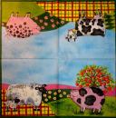 015 Pigs - 3-ply - Ihr - CS