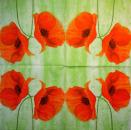 147 Anemones, Poppy - 3-ply