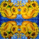 162 Sunflowers - 3-ply - Di Vendo