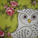 075 Owls - 3-ply (grün) - Click / Ihr - CS