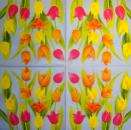 167 Tulpen - 3-lagig