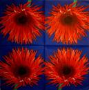 225 Flowers Others - 3 ply