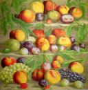 088 Grapes - 3-ply