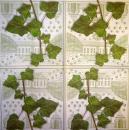 174 Plants - 3-ply