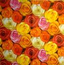 613 Rosen - 3-lagig - ti-flair - CS