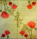 158 Anemones, Poppy - 3-ply (grün) - Ambiente