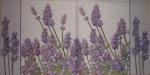 005 Lavender