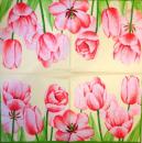 043 Tulpen - 3-lagig(gelb/rosa) - Ihr
