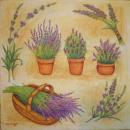 024 Lavender