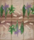 041 Lavendel - 33x39cm