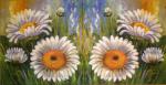 043 Daisies - 3-ply