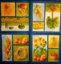 037 Sunflowers - 3-ply (blue) - Ihr