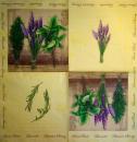 107 Lavendel - 3 lagig