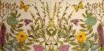205 Butterflies - 3-ply - ppd - Color Bakery