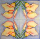 034 Calla - 3-ply - Ambiente
