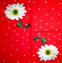 300 Daisies - 3-ply - Stewo - Ella Doran
