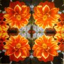 277 Flowers Others - 3-ply - Home Fashion