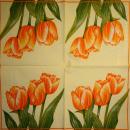 193 Tulips - 3-ply (orange) - Ambiente