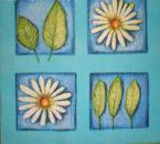 053 Daisies - 3-ply
