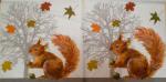 037 Eichhörnchen