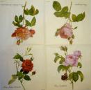 674 Roses - 3-ply