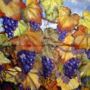 099 Grapes - 3-ply - Künstler