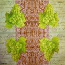 102 Trauben - 3-lagig - Paula Scaletta - CS