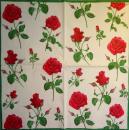 581 Roses - 3-ply - Ihr - CS