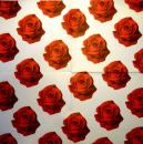 667 Rosen - 3-lagig (weiß-215800) - Paw