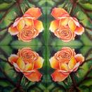 709 Rosen - 3-lagig