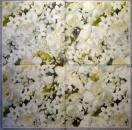 776 Rosen - 3-lagig - Amscan