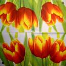225 Tulpen - 3-lagig - Krackenberger - CS