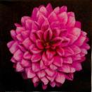 070 Blumen Sonstige - 3 lagig - Ihr - CS