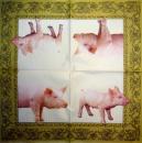 014 Pigs - 3-ply (gold) - Ihr