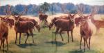 001 Deer - 3-ply - Stewo