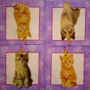 143 Cats - 2-ply - Creative Converting