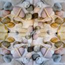 027 Muscheln - 3-lagig