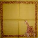 020 Giraffe - 3-lagig - Molca / Ladies Mol