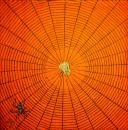 114 Halloween - 3-ply (orange) - CASPARI - John Derian