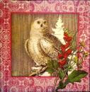 094 Owls - 3-ply - ppd - Meehan - CS