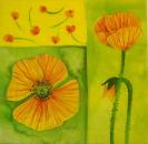 072 Anemones, Poppy - 3-ply