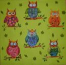 056 Owls - 3-ply (grün) - Atelier