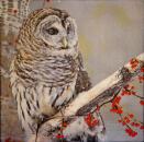 092 Owls - 3-ply - ppd - Shutterstock