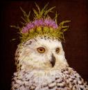 093 Owls - 3-ply - ppd - Vicky Sawyer