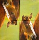069 Horses - 3-ply - ppd - The Image Bank