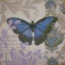 039 Butterflies - ppd - Paula Scaletta