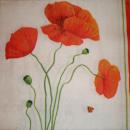 016 Anemones, Poppy - 3-ply